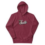 unisex-premium-hoodie-maroon-front-6761f9aa5921b.jpg